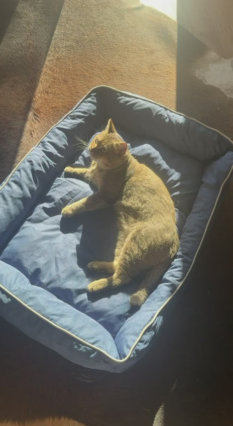 SoftLounge Wasserfestes Tierbett