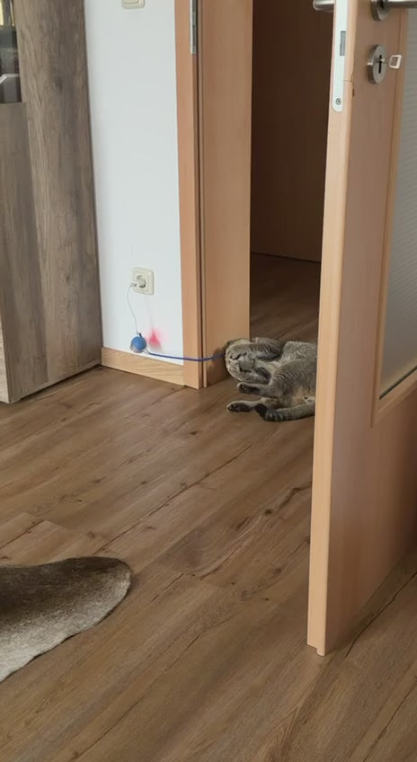 Rollo Selbstrollender Katzenball
