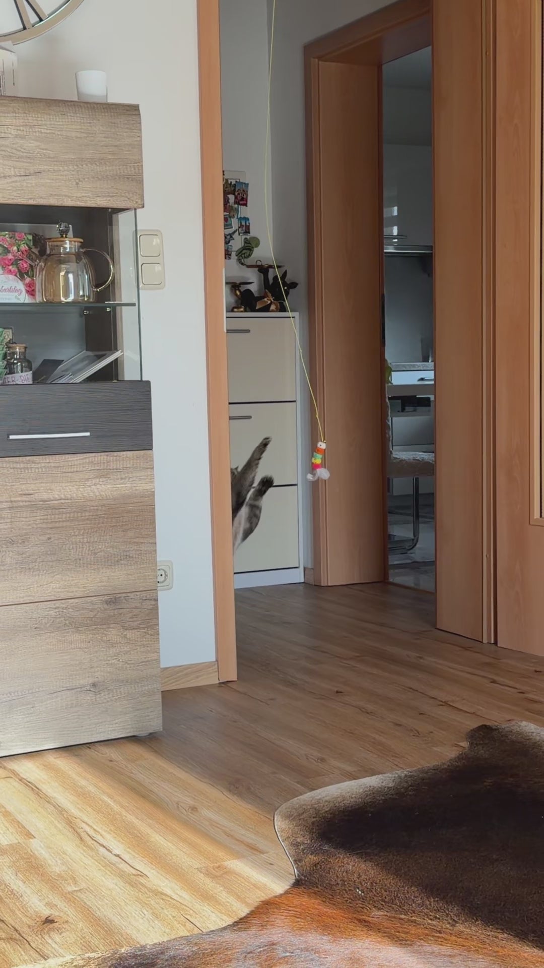 Wackelwurm Katzen-Teaser