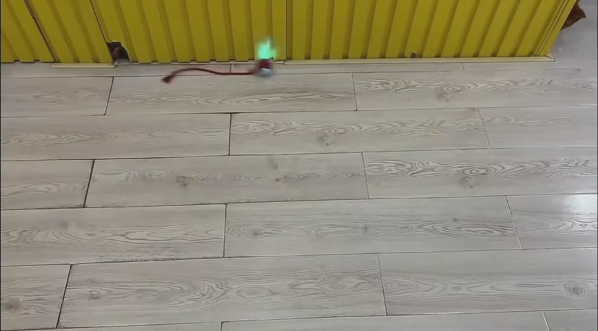Rollo Aktiv-Ball